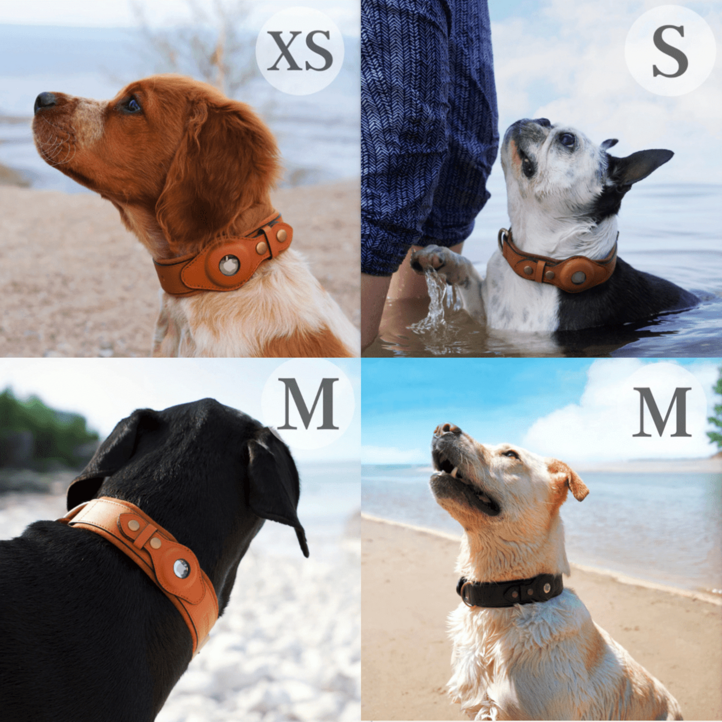 Leather Anti-Loss Dog Collar