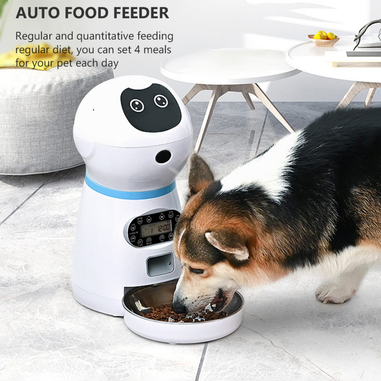Pet feeder with Camera