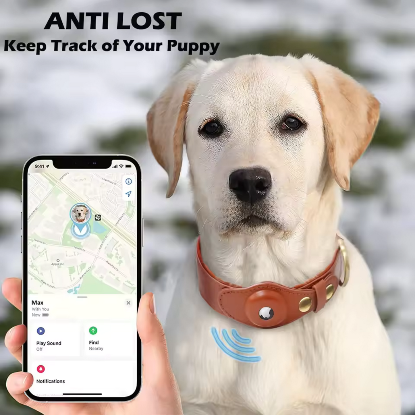 Leather Anti-Loss Dog Collar