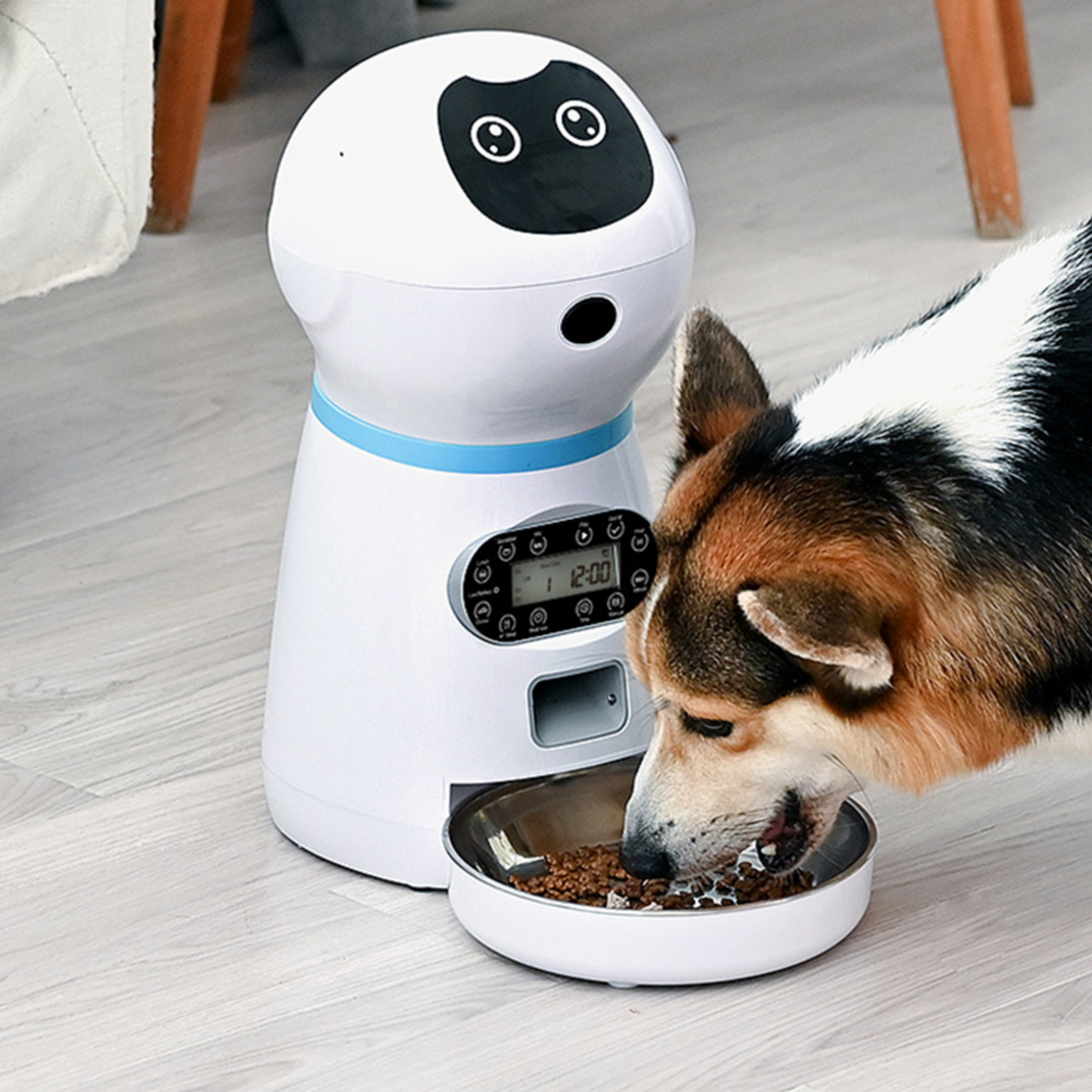 Pet feeder with  Camera